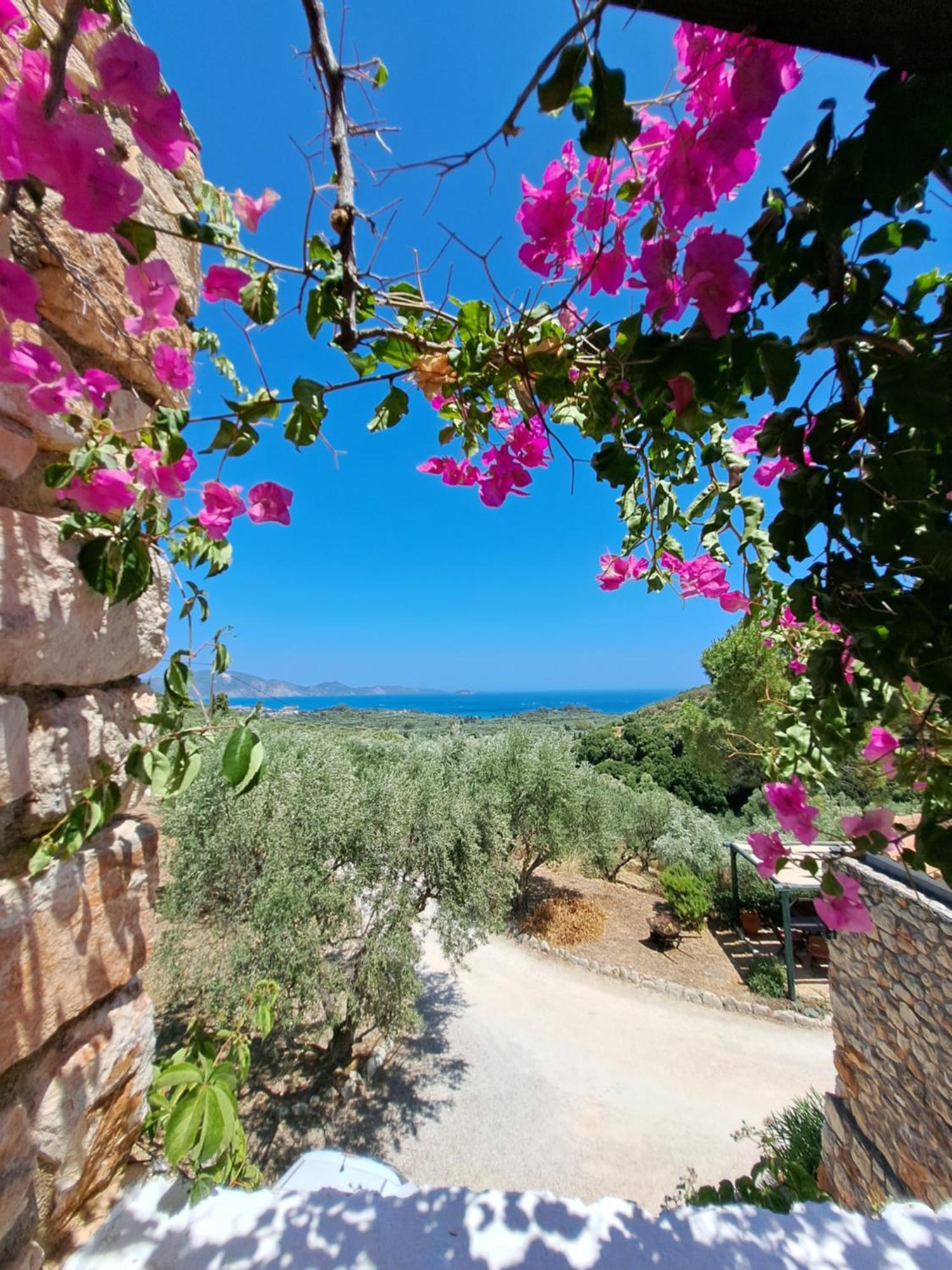 Lithakia  Tsivouli Accommodation المظهر الخارجي الصورة